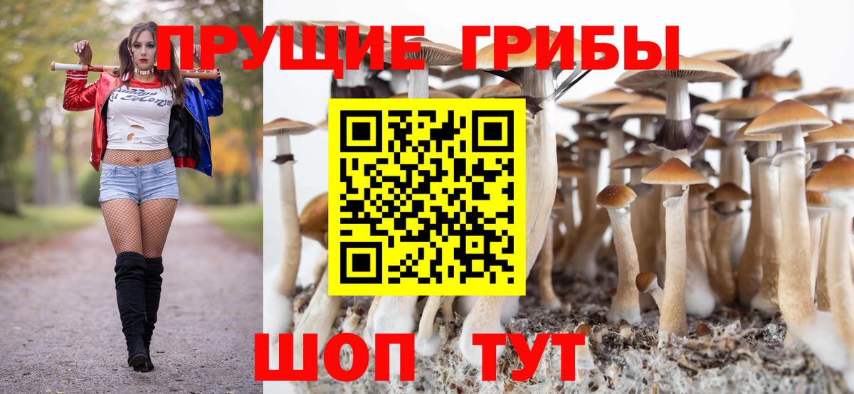 Псилоцибиновые грибы Psilocybe  Вход с VPN  Псилоцибиновые грибы MAGIC MUSHROOMS  Мирный 