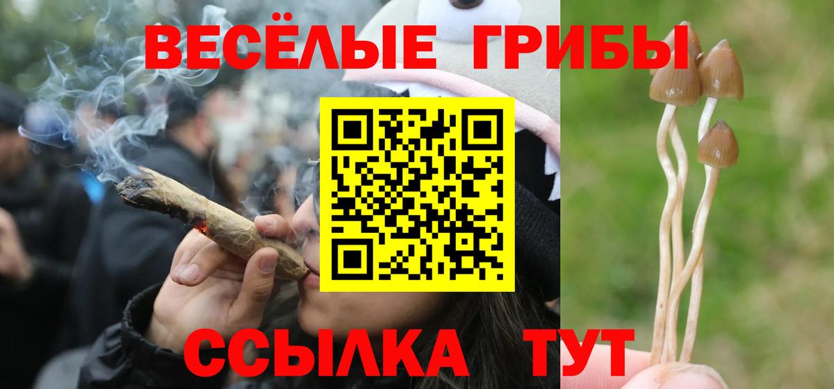Галлюциногенные грибы MAGIC MUSHROOMS Мирный